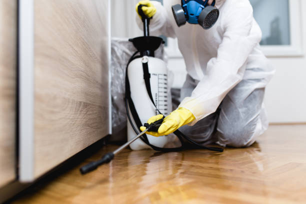 Best Residential Pest Control  in Bessemer, MI