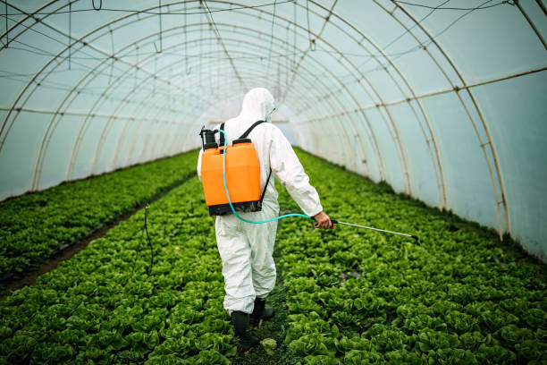 Best Commercial Pest Control Services  in Bessemer, MI
