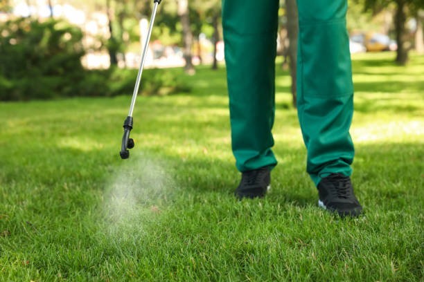 Best Best Pest Control Companies  in Bessemer, MI