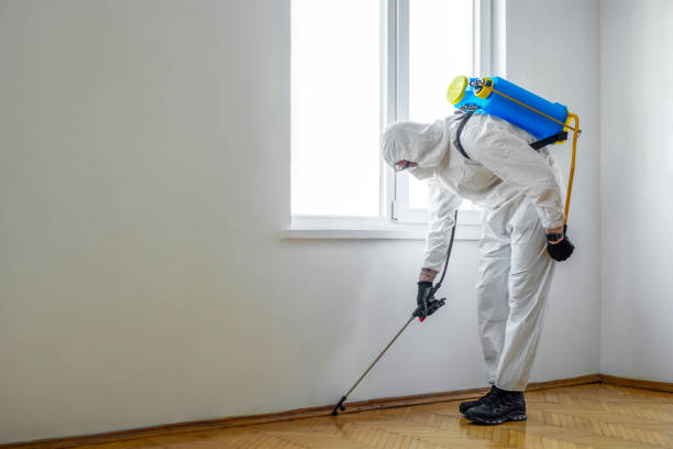 Best Affordable Pest Control Services  in Bessemer, MI