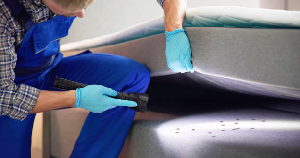 Best Mosquito Control Services  in Bessemer, MI