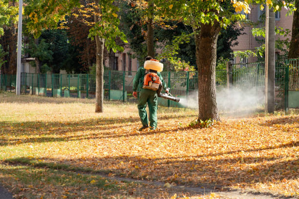 Best Pest Prevention Services  in Bessemer, MI