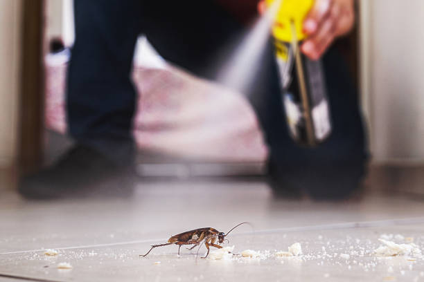 Best Pest Prevention Services  in Bessemer, MI