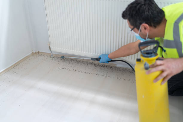Best Flea Control Services  in Bessemer, MI