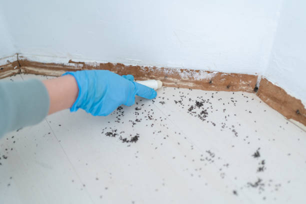 Best Wildlife Control Services  in Bessemer, MI