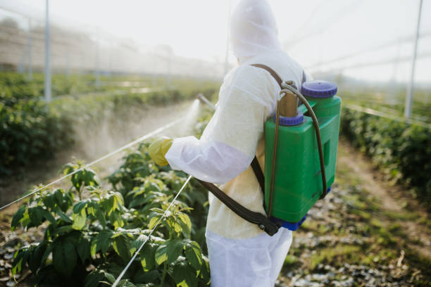 Best Bed Bug Extermination  in Bessemer, MI